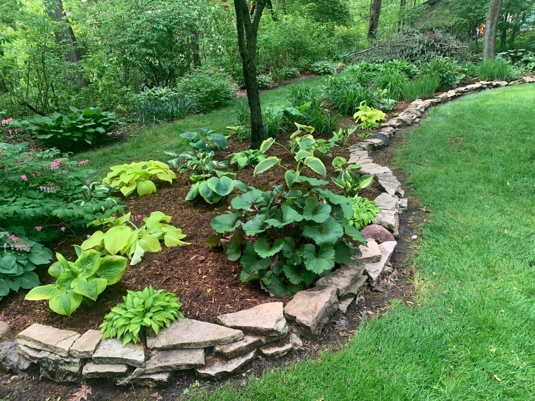 Beautiful landscaped front yard with mulch beds and shrubs